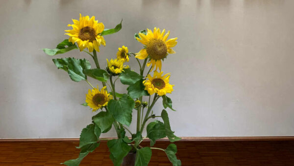 開館から33年になりました♪