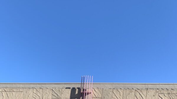 第20回シニアギターコンクール応募受付は1時間弱で終了しました。